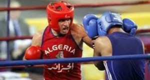 الملاكمة الجزائرية تسعى للصعود على منصة التتويج في الدار البيضاء