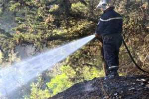 وفاة  عريف  وإصابة 4 أعوان في حريق بغابات سيدي بلعباس