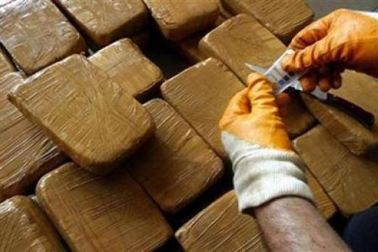 حجز كيلوغرام من الكيف المعالج ببومرداس