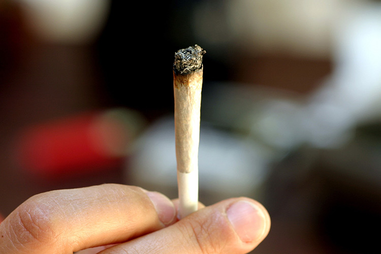 معاق ذهنيا وفتاة يقودان شبكة للاتجار في المخدرات بوهران