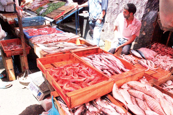 وهران تنتج لأول مرة 22 طنا من بلح البحر