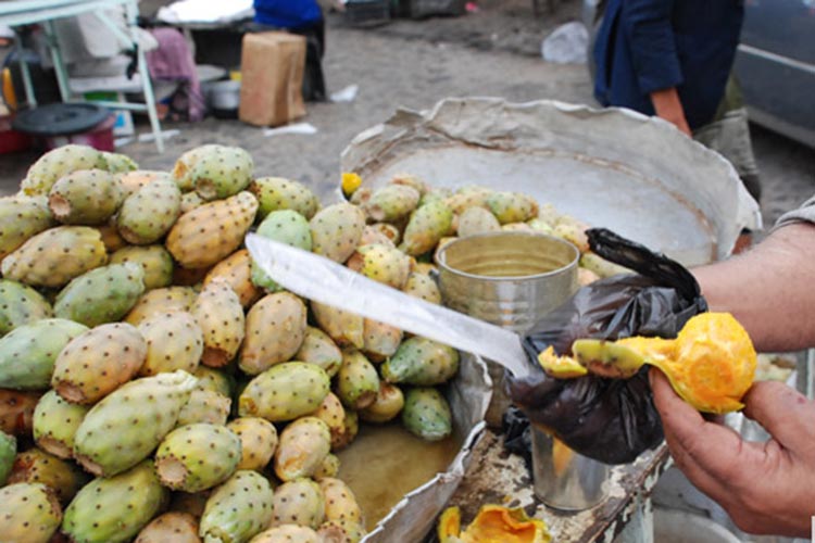 التين الشوكي يدخل 37 طفلا المستشفى بأم البواقي