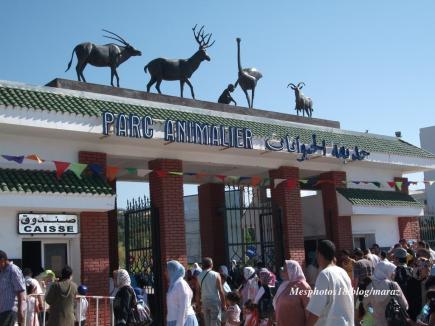 حديقة الحيوانات بكيسير بجيجل تستقبل 10 آلاف زائر يوميا