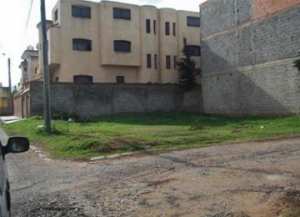 مسح 379 هكتار من الأراضي بالوسط الحضري في الأغواط