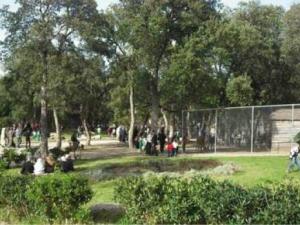 Le parc animalier d'El Aouana à Jijel : Une attaction qui draine des milliers de visiteurs