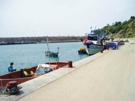 Les ressources halieutiques en forte régression : L'aquaculture pour sauver la pêche