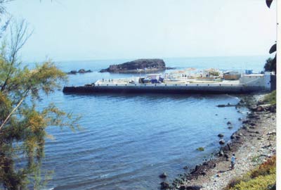 «Les pays voisins profitent du soutien des prix en Algérie»