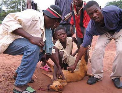 Tentative de sabotage du gazoduc algéro-italien en Tunisie