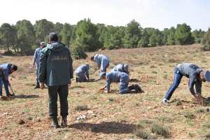 عمال الغابات بسيدي بلعباس يحتجّون عقب وفاة زميلهم حرقا