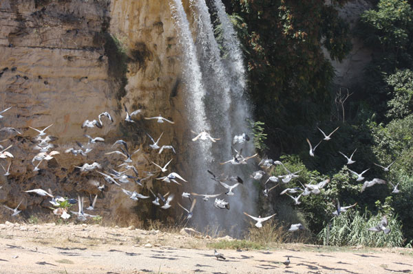 وهران على موعد لاستقبال منتزه سياحي جديد