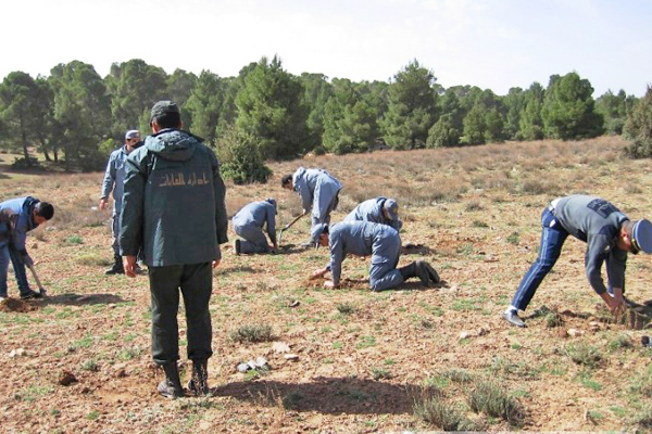 عمال الغابات بسيدي بلعباس يحتجّون عقب وفاة زميلهم حرقا