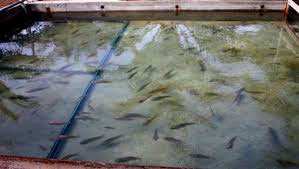 يستفيد منها فلاحو عين تموشنت