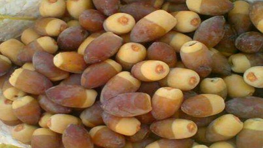 Les vendeurs de M'nagguer envahissent les marchés à Ouargla