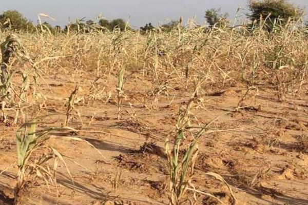 التضاريس والجفاف يعمقان مشاكل سكان