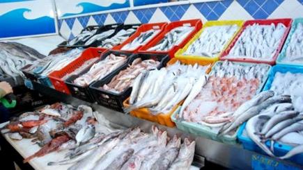 عودة الصيد الفوضوي إلى سواحل ولاية سكيكدة