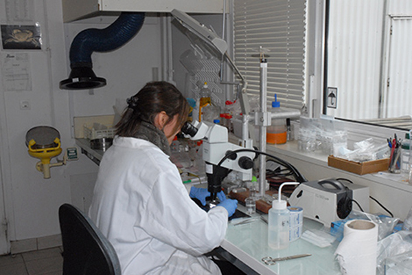 غياب تحاليل 