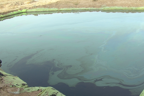 اكتشاف بترولي وسط منطقة فلاحية في المدية