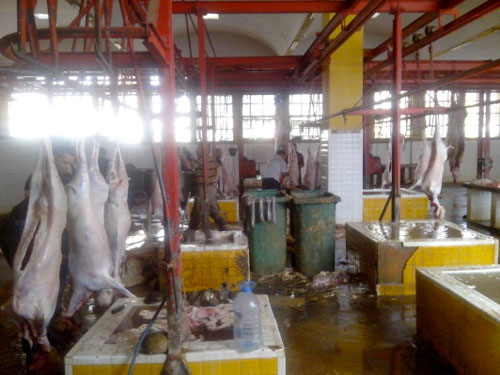 المسلخ البلدي بتيارت الأقدم على المستوى الإفريقي