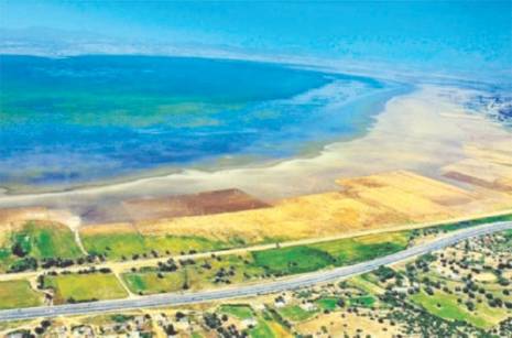 Atteinte au couvert végétal du lac Fetzara de Annaba