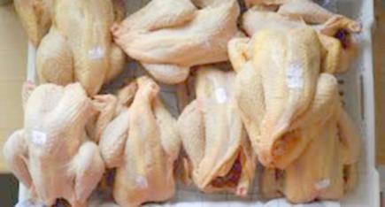 ارتفاع جنوني لأسعار الدجاج في أسواق قسنطينة والمواطن بين المطرقة والسندان