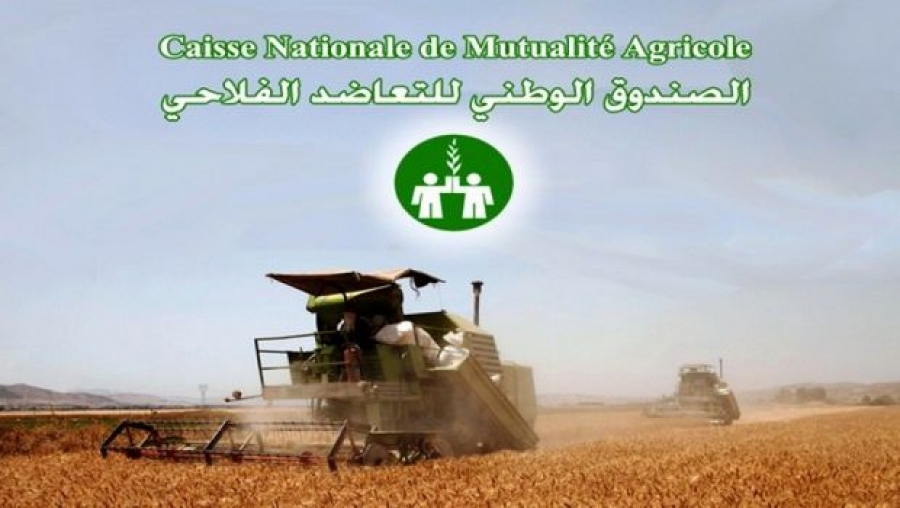 Le syndicat national des travailleurs de la CNMA salue les acquis sociaux de la nouvelle convention collective