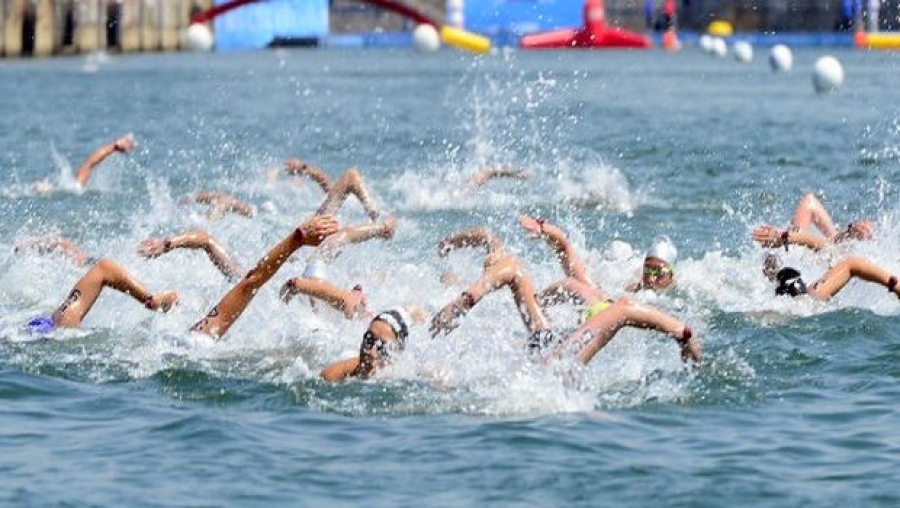 JMP 2015 (natation en eau libre)