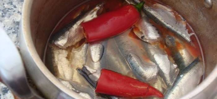 تحضير السردين المعلب