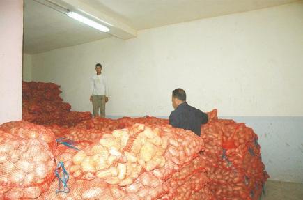 توقع جني أكثر من 4 ملايين قنطار من مادتي البصل والبطاطا بتيارت