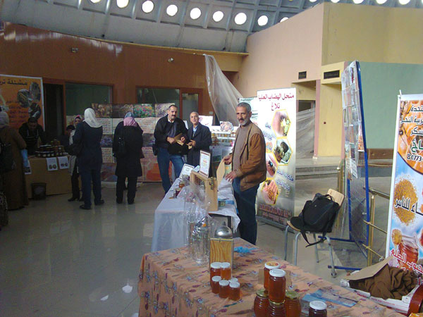 تراجع ملحوظ لمنتوج العسل في هذا الموسم بسيدي بلعباس