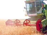 Vers une récolte de plus de 40 millions de quintaux