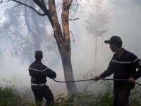 Ça brûle moins cette année