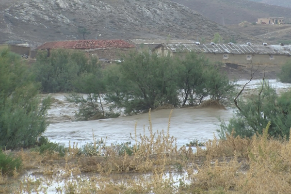 الأمطار الطوفانية وفيضان واد المالح يرعبان سكّان الربعية بالمدية