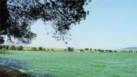 Le lac Sidi Mohamed Benali, une destination privilégiée