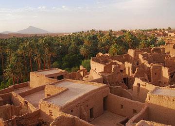 تلف محاصيل زراعية ضخمة بسبب إنهيار فقارة قصر مولاي عبد الواحد بأدرار