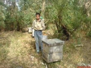 Béjaïa. Des apiculteurs en formation