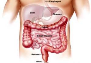 La prévention du cancer du côlon est possible