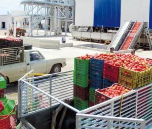 En attendant Berchiche et Berrefane