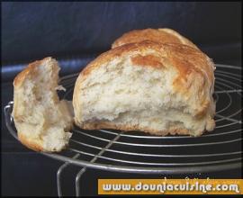 Avocat Café Plain Scones