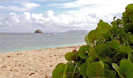 France - Création d'une nouvelle réserve naturelle en Guadeloupe