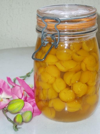 Conserve de mirabelles au sirop