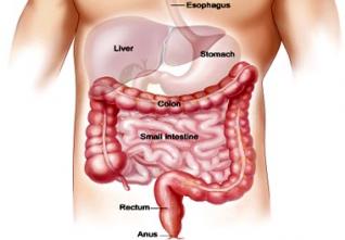 La prévention du cancer du côlon est possible