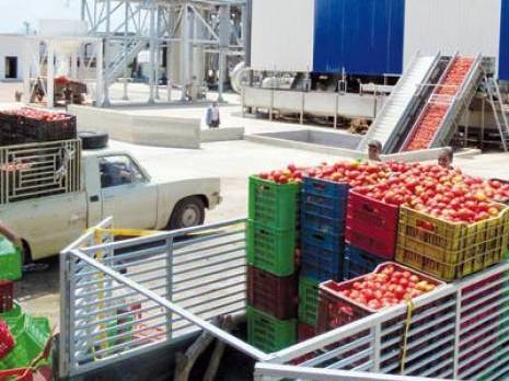 Skikda - Tomate industrielle : Le groupe Benamor inaugure une nouvelle unité de transformation