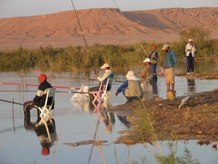 Barrage de Djorf Torba (Béchar) : Organisation d'un concours de pêche