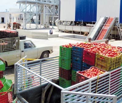 Le retour de Benguesmia