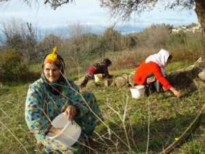 L'Algérie est le septième producteur mondial