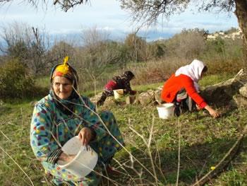 L'Algérie est le septième producteur mondial