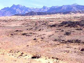 468 عائلة برأس العين عميروش في معسكر تناشد الوالي التدخل لإيجاد الحل