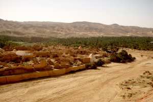 نجل لاعب مشهور وقريب وزير أسبق يستوليان على آلاف الهكتارات بالنعامة