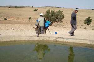 مواطنون بالأغواط يقاسمون مواشيهم شرب المياه من الآبار