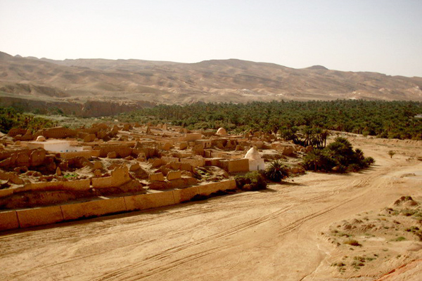 نجل لاعب مشهور وقريب وزير أسبق يستوليان على آلاف الهكتارات بالنعامة